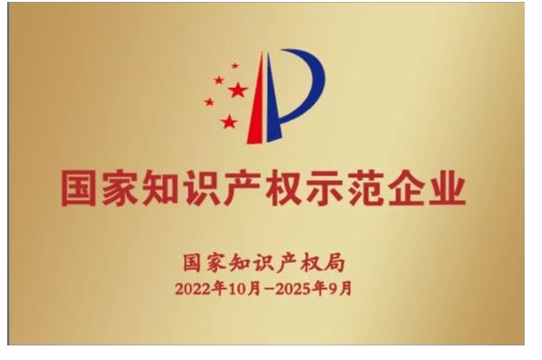 國家知識產(chǎn)權示范企業(yè)