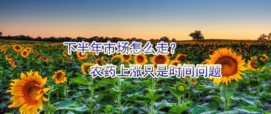 下半年市場(chǎng)怎么走？農(nóng)藥上漲只是時(shí)間問(wèn)題