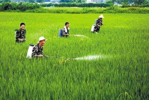 農(nóng)資市場(chǎng)魚(yú)龍混雜，抗性真的有宣傳的那么嚴(yán)重嗎？