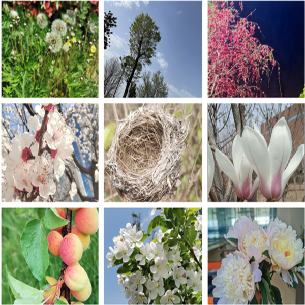 滕潤翔“向上的力量，怒放的生命”主題活動落地  