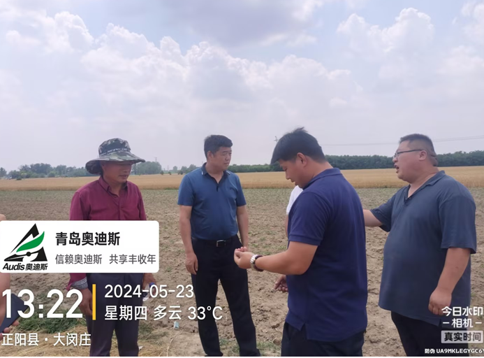 名譽(yù)董事長躬身入局下市場，田間地頭調(diào)研忙